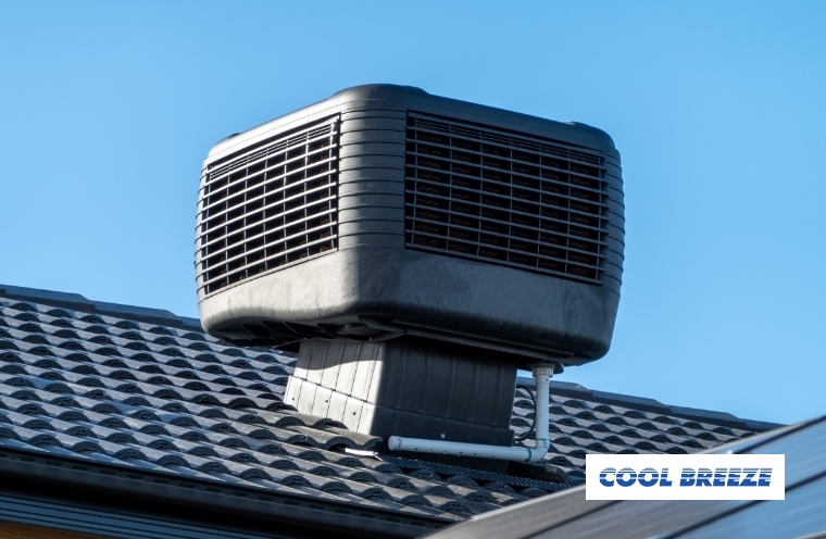 CoolBreeze-1